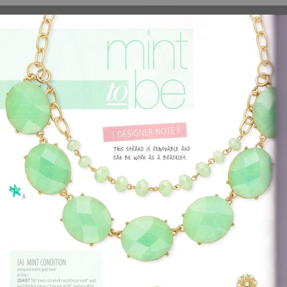 Premier Designs necklace